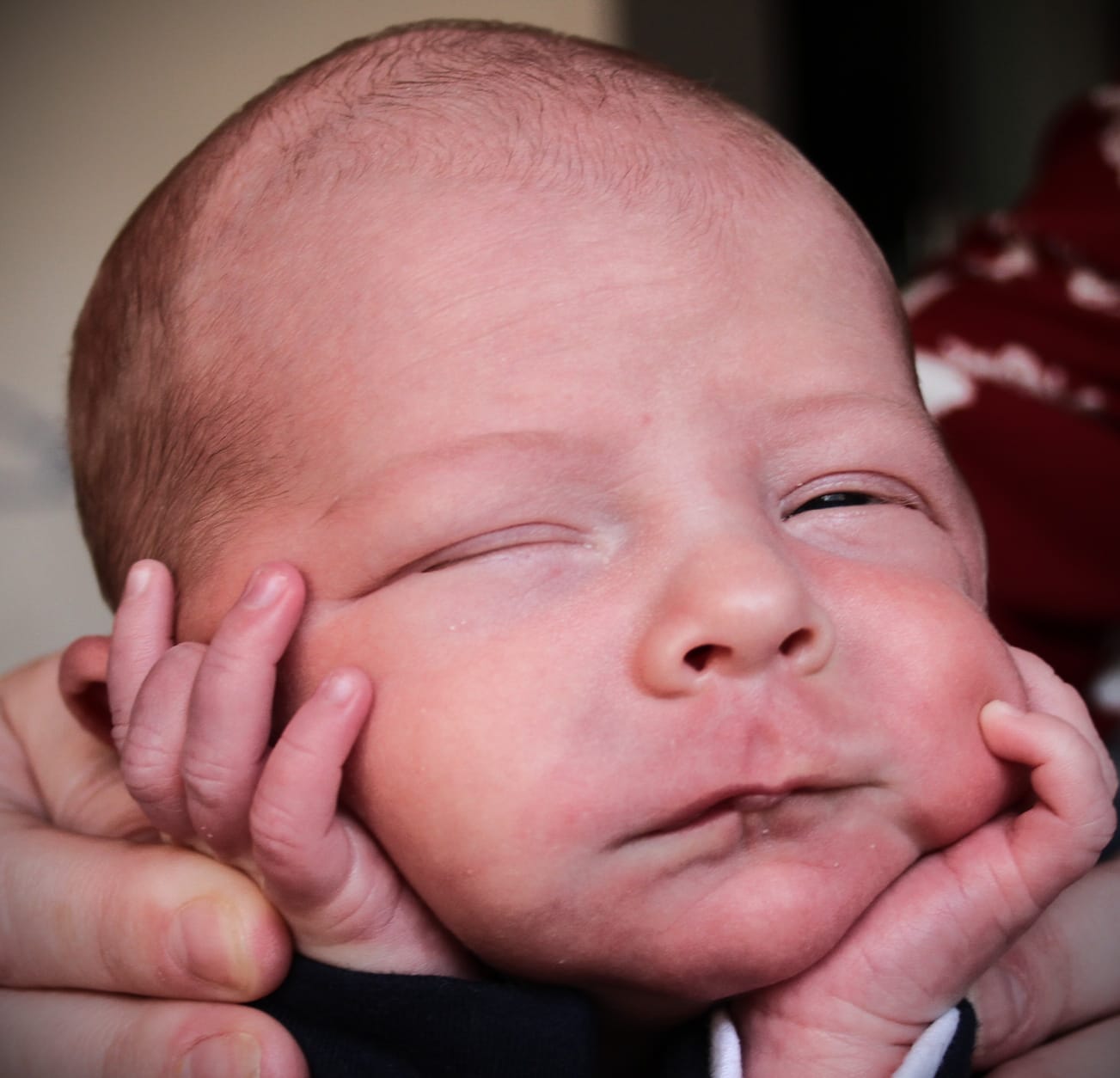 WhatsApp Image 2026-02-18 at 17.52.01